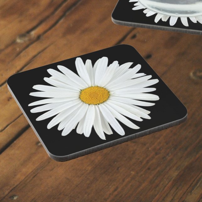 White Daisy Flower on Black Floral Beverage Coaster (In Situ)