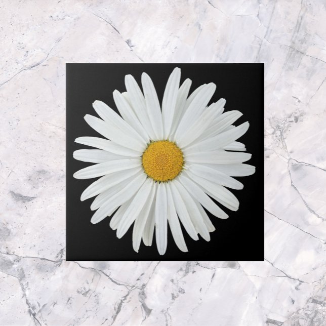 White Daisy Flower on Black Floral Ceramic Tile (In Situ)
