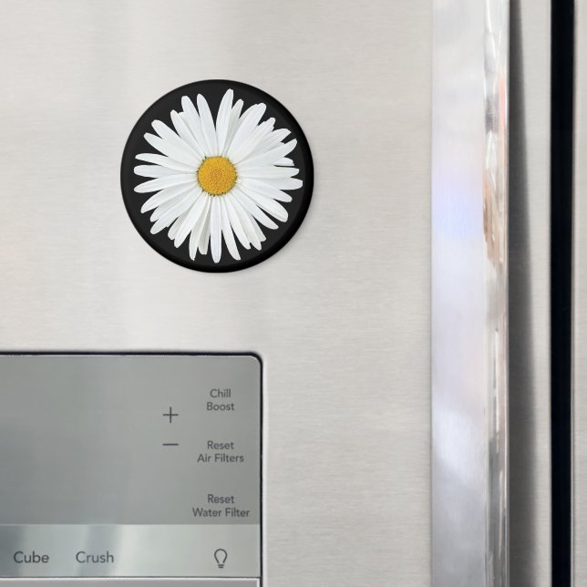 White Daisy Flower on Black Floral Magnet (In Situ (Fridge))