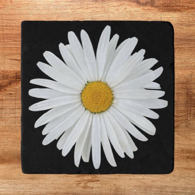 White Daisy Flower on Black Floral Trivet (In Situ)