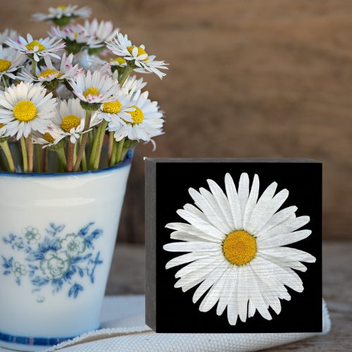 White Daisy Flower on Black Floral Wooden Box Sign