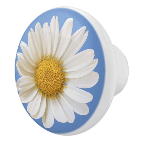 White Daisy Flower on Blue Background Ceramic Knob