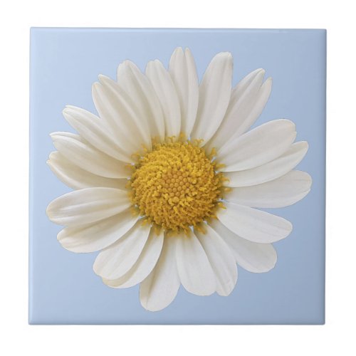 White Daisy Flower on Light Blue Background Ceramic Tile