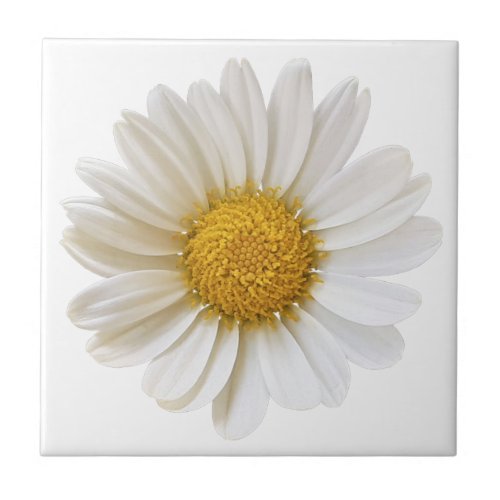 White Daisy Flower on White Background Ceramic Tile