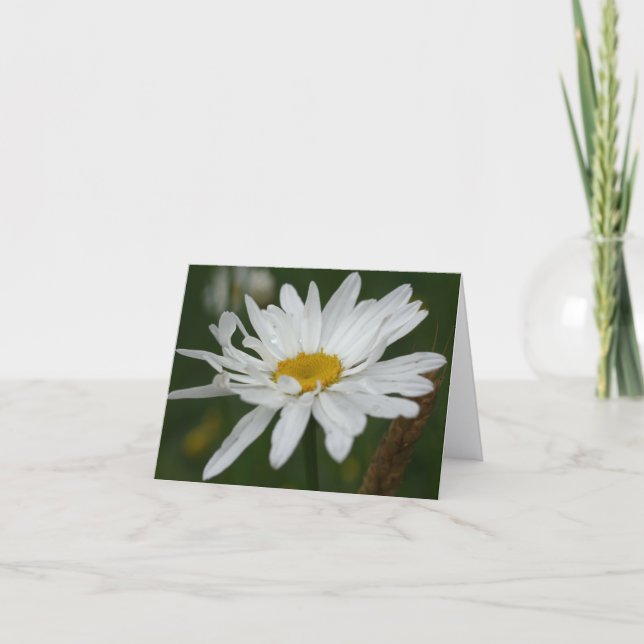 White Daisy Flower Photography Note Card (Front)