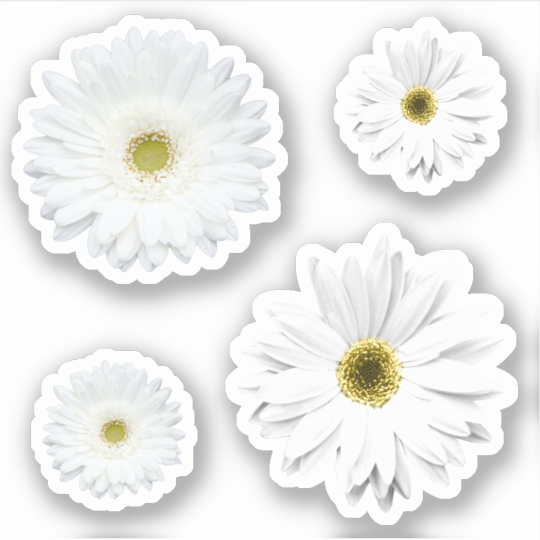 White Daisy Flower Set Sticker | Zazzle