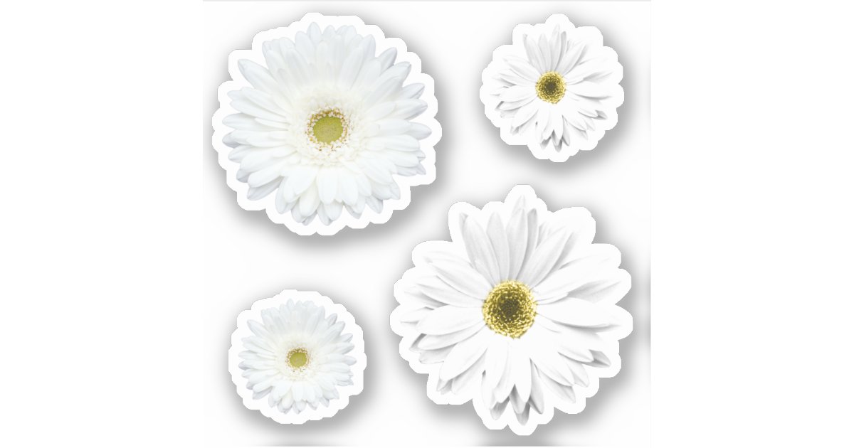 White Daisy Flower Sticker | Zazzle | Tumblr Stickers, Bubble Stickers