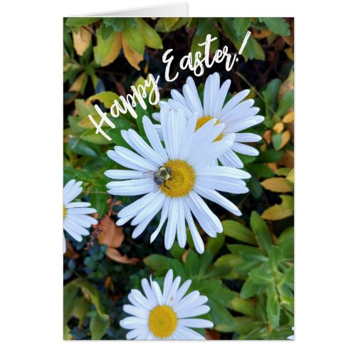 White Daisy Flower with a Bee Easter Card