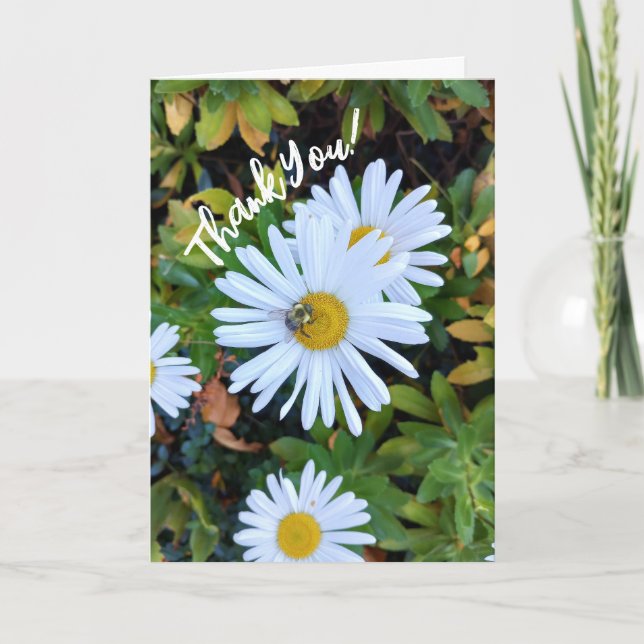 White Daisy Flower with a Bee Thank You Card (Front)