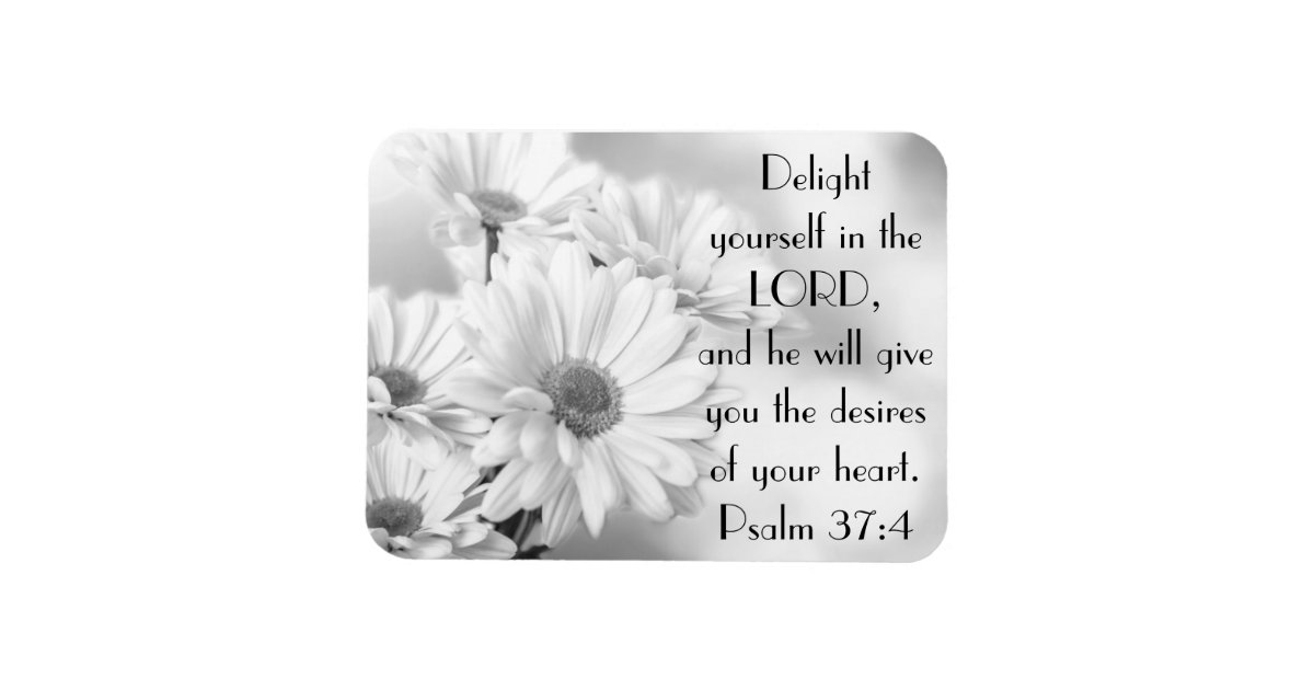 White daisy flowers bible verse Psalm 374 Zazzle