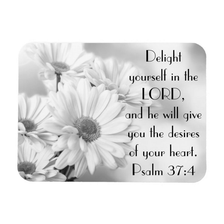 White daisy flowers bible verse Psalm 37:4 Magnet | Zazzle