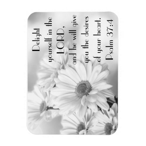 White daisy flowers bible verse Psalm 374 Zazzle