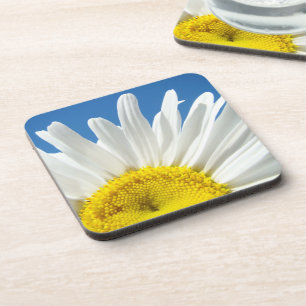 White Daisy Flowers cork coasters Entertaining