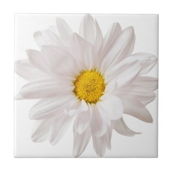 White Daisy Flowers Daisies Flower Floral Template Tile by Christine_Elizabeth at Zazzle