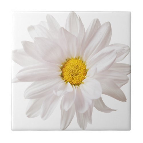 White Daisy Flowers Daisies Flower Floral Template Tile