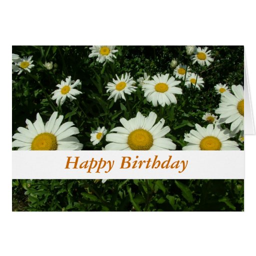 white daisy flowers happy birthday greeting card | Zazzle