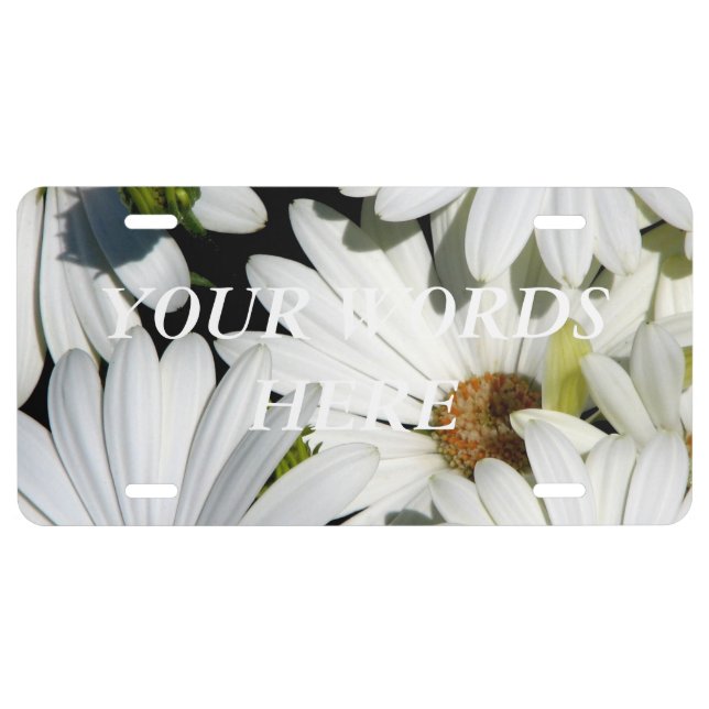 White Daisy Flowers License Plate (Front)