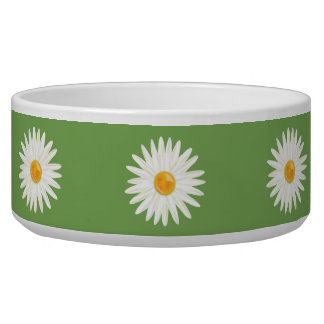 White Daisy Flowers On Green Bowl