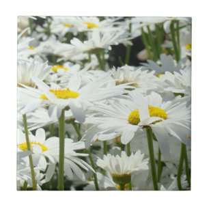White Daisy Flowers Tile art Home Decor Daisies