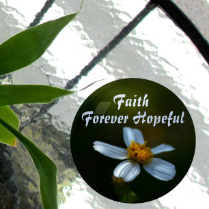 White Daisy Forever Hopeful on Dark Green Paperweight