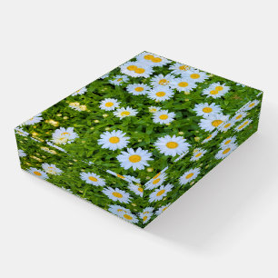 White Daisy Garden Paperweight