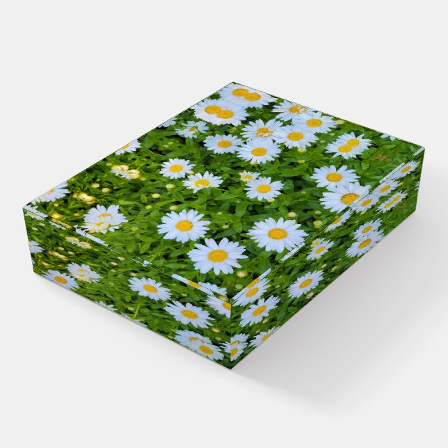 White Daisy Garden Paperweight (Angled)