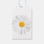 white daisy gift tags