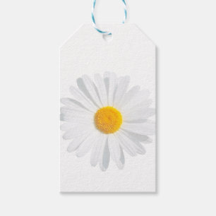 white daisy gift tags