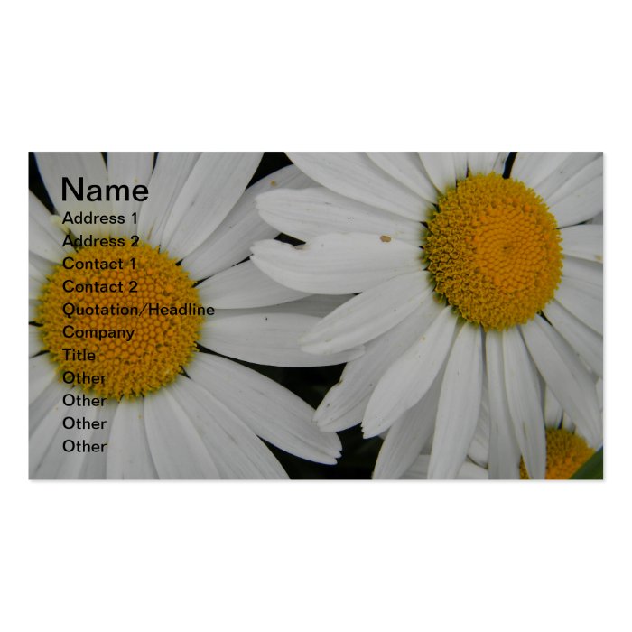 White Daisy in Full Bloom Business Card Templates