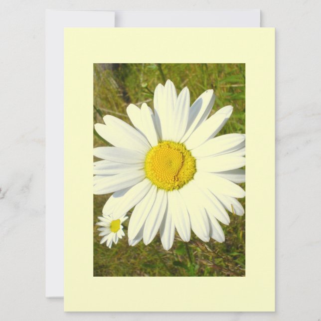 White Daisy Invitation (Front)