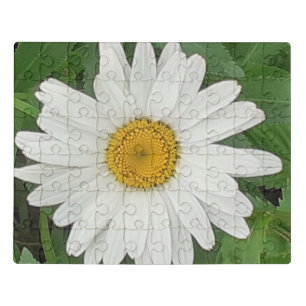 White Daisy Jigsaw Puzzle