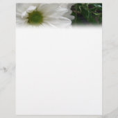 White Daisy Letterhead (Front)