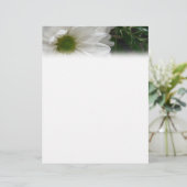 White Daisy Letterhead (Standing Front)