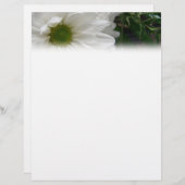 White Daisy Letterhead (Front/Back)