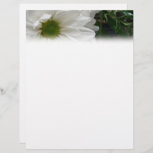 White Daisy Letterhead (Front/Back)
