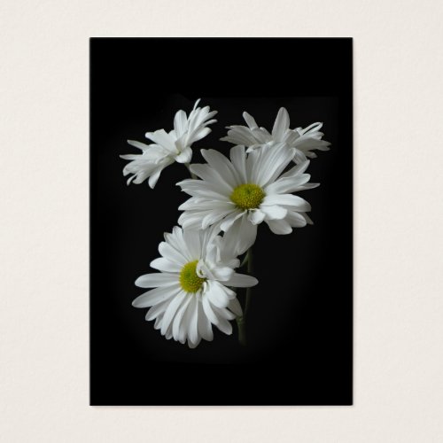 White Daisy Mums ATC Photo Card Business Cards