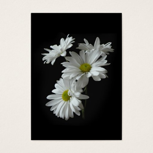 Customizable White Daisy Mums ATC Photo Card Business Cards