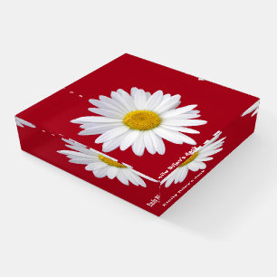 white daisy on red background paperweight