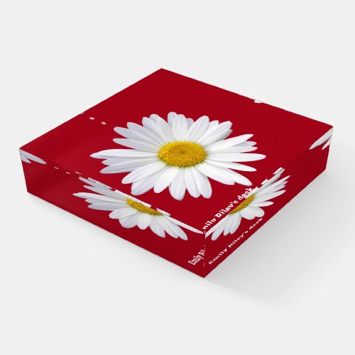 white daisy on red background paperweight