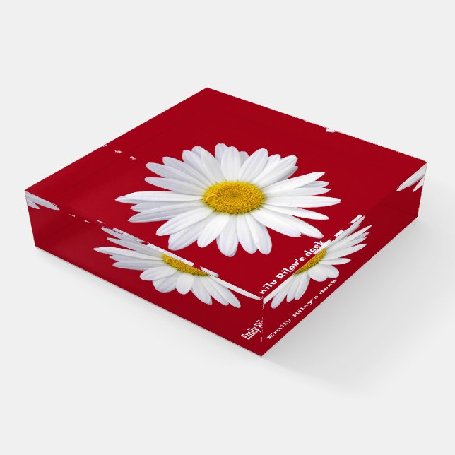 white daisy on red background paperweight (Angled)