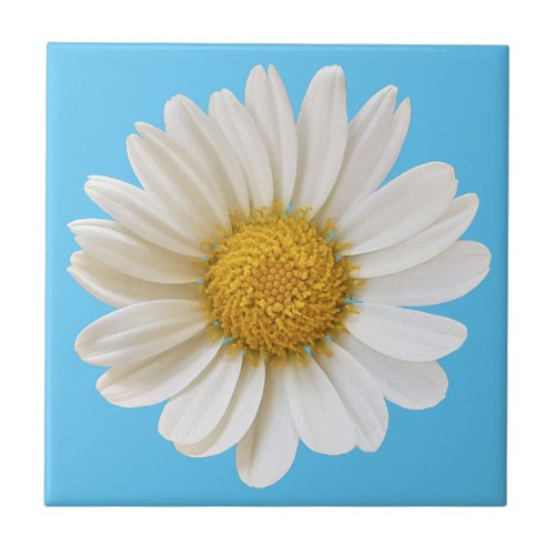 White Daisy on Sky Blue Background Ceramic Tile