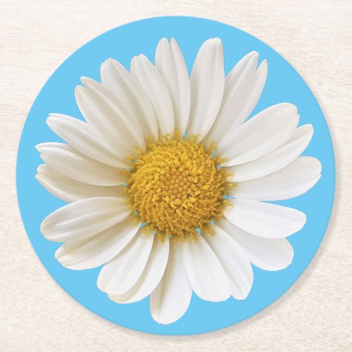 White Daisy on Sky Blue Background Round Paper Coaster