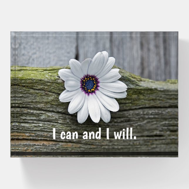 White Daisy On Wood With Quote Paperweight (Front)