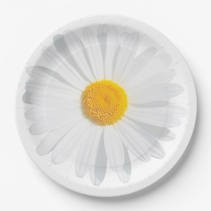 daisy paper plates