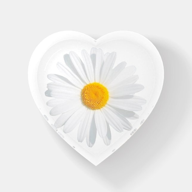 white daisy paperweight (Front)