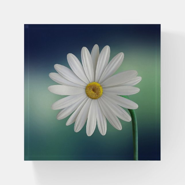 White Daisy Paperweight (Front)