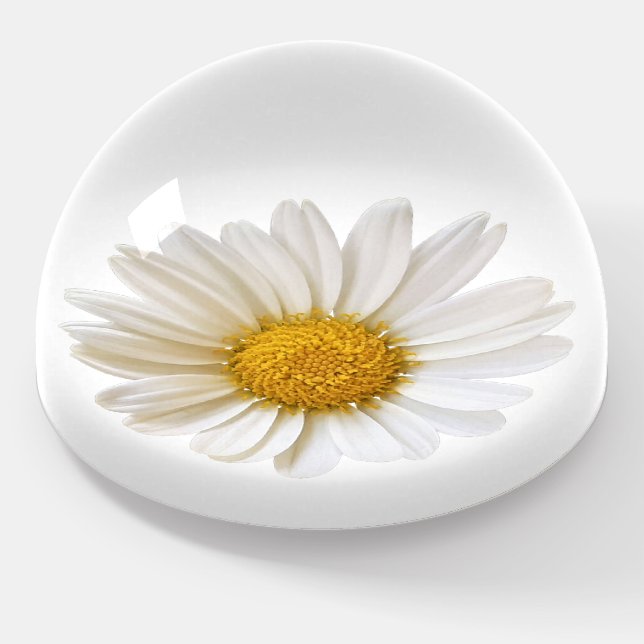 White Daisy Paperweight (Angled)