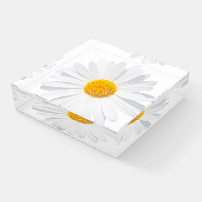 white daisy paperweight (Angled)