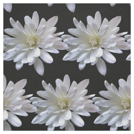 White daisy pattern white flowers fabric