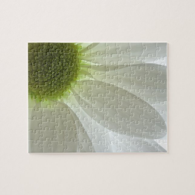 White Daisy Petals Jigsaw Puzzle (Horizontal)